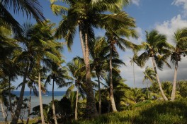 Lifou