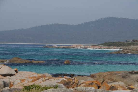 Tasmanie (17)