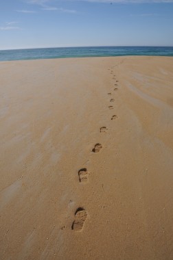 Tasmanie (6)