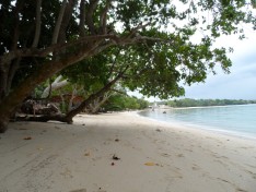 Vanuatu (1)