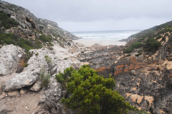 kangaroo island