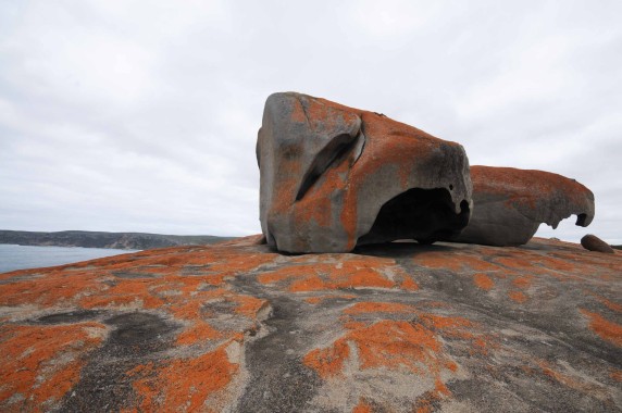 Kangaroo Island (11)