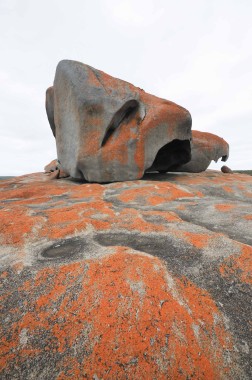 Kangaroo Island (12)