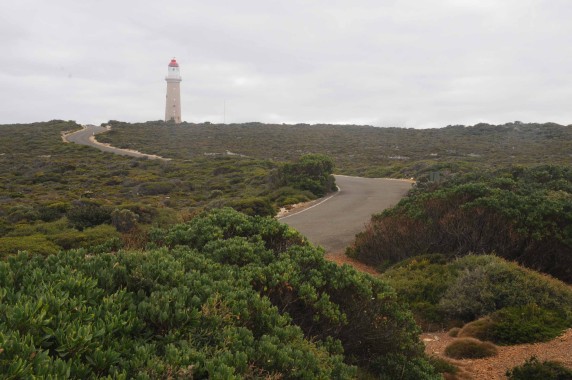 Kangaroo Island (20)