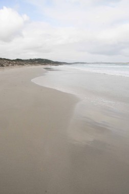 Kangaroo Island (27)