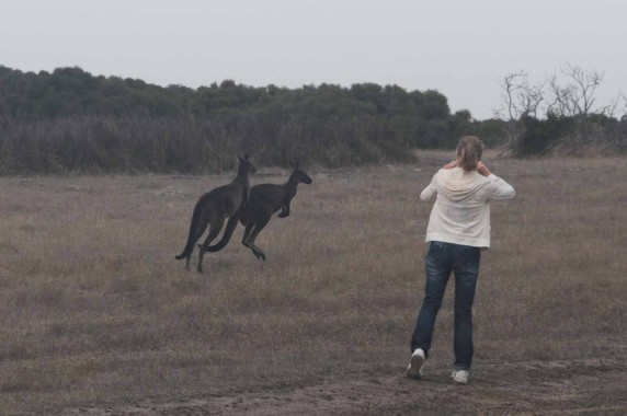 Kangaroo Island (32)