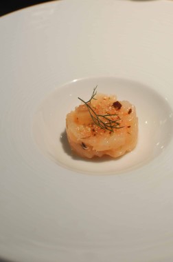 Langoustines rôties et en tartare, fenouil, mandes torréfiées (2)