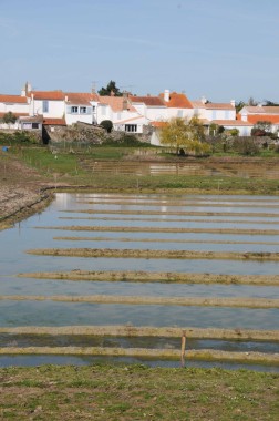 Noirmoutier (13)