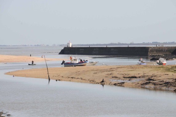 Noirmoutier (15)