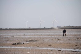 Noirmoutier (2)