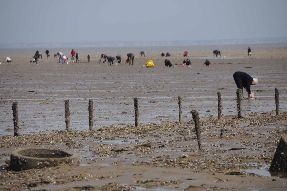 Noirmoutier (3)