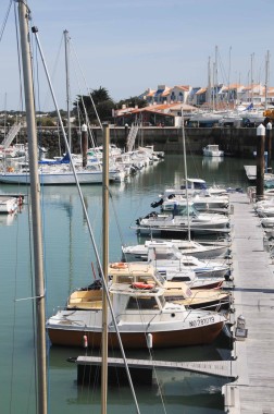 Noirmoutier (5)