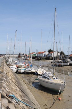 Noirmoutier (9)