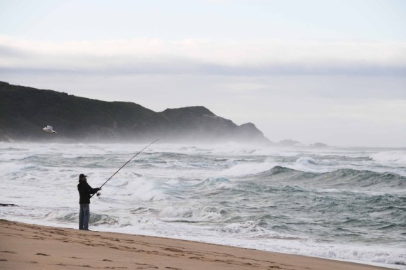 great ocean road (21)