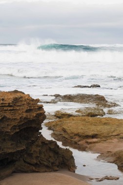 great ocean road (23)