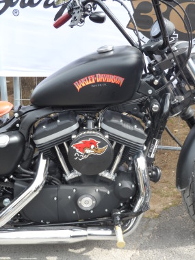 Harley Davidson (14)
