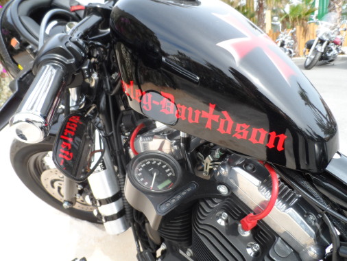 Harley Davidson (9)
