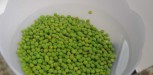 recette puree de petits pois