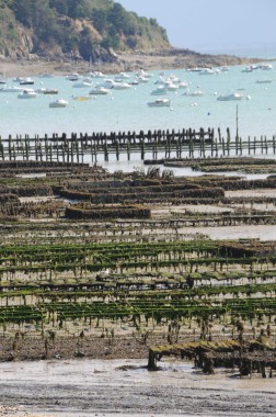 Cancale