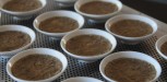 recette creme brulee 