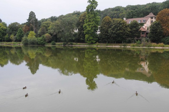 Les Etangs de Corot