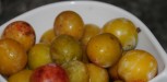 recette avec des mirabelles