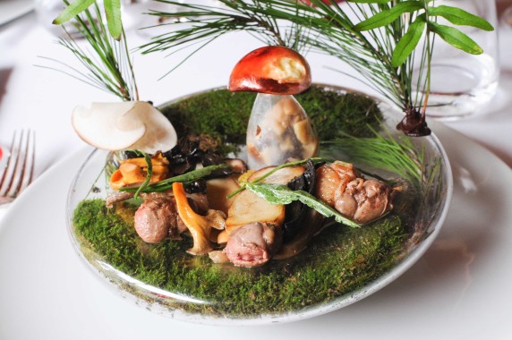 Gilles Goujon - auberge de Fontjoncouse -salade de champignons