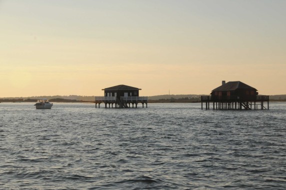 bassin d'arcachon