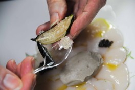 carpaccio saint-Jacques, caviar citron