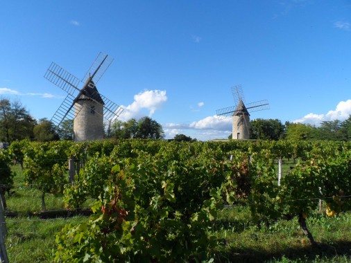 vignobles bordelais