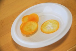 Agrumes Bachès, Ferrandi (43) kumquat