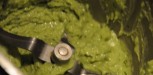 Guacamole avocat