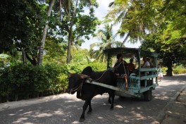 La Digue