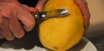 mangue