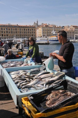 Marseille (4)