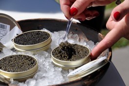 caviar sturia