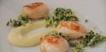 recette saint jacques