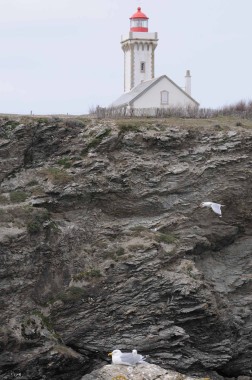 Belle Ile en Mer (14)