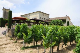 Chateau Troplong Mondot (42)