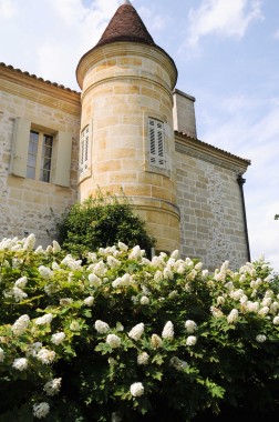 Chateau Troplong Mondot (26)