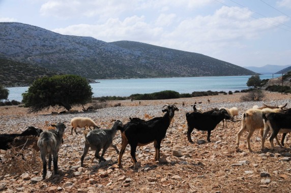 Astypalaia (25)