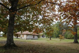 Ferme de Tauziat (9)