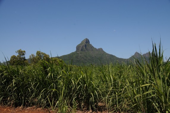 Ile Maurice (38)