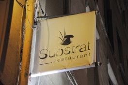 restaurant Substrat Lyon (1)