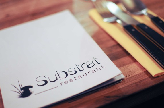 restaurant Substrat Lyon (6)