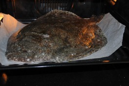 turbot