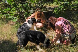 ferme les Eybrachas (14)