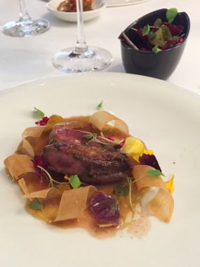 Pigeon Arzak (77)