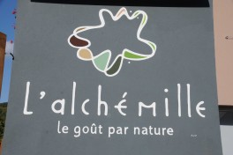 Alchémille (29)