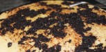 recette pissaladiere